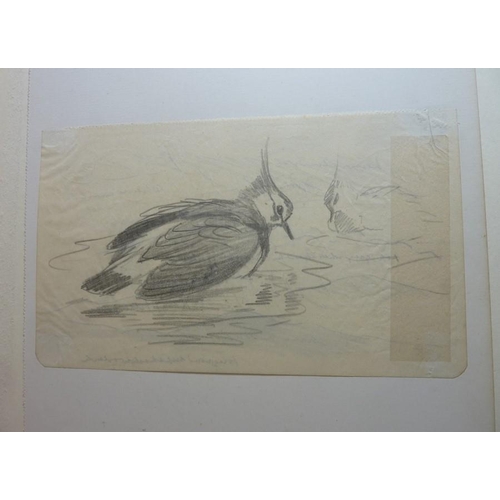 667 - PHILIP RICKMAN (1891-1982) - 'Bird Paintings and Sketches'. A large part-leather-bound folio contain... 