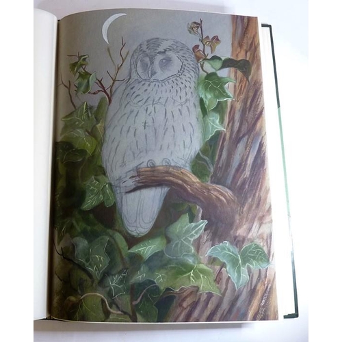 667 - PHILIP RICKMAN (1891-1982) - 'Bird Paintings and Sketches'. A large part-leather-bound folio contain... 