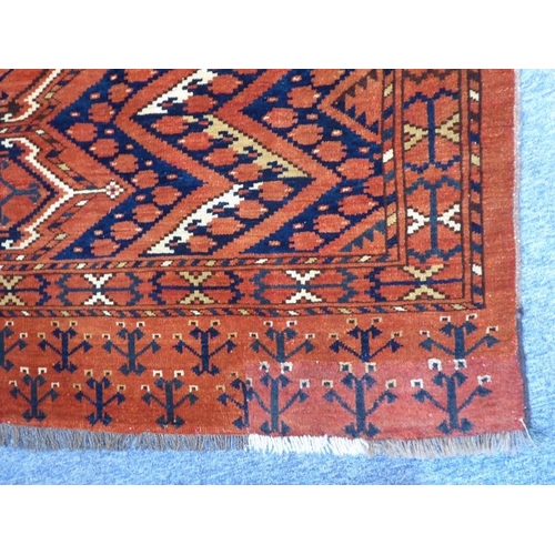 729 - A Turkmen rug; circa 1900, Turkmenistan (155cm (5'0