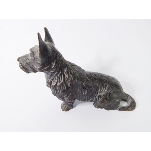 100 - A well modelled and heavy patinated bronze model of a seated Scottie dog (approx. 368g, 9.75cm long ... 