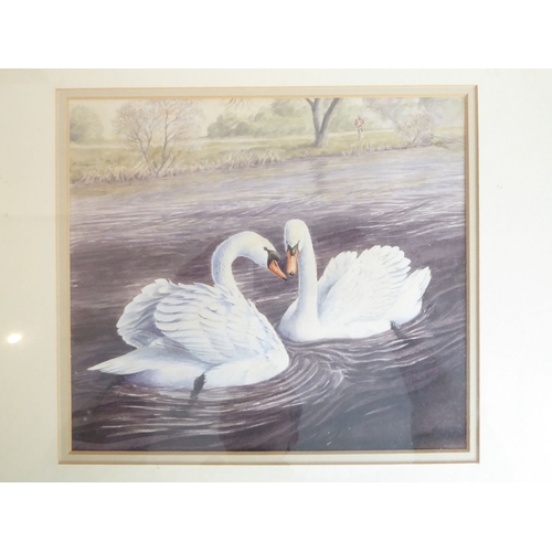 595 - British Contemporary -  a pair of swans kissing on water. Watercolour, 8 x 9 ins (20.5 x 23 cms )
(C... 