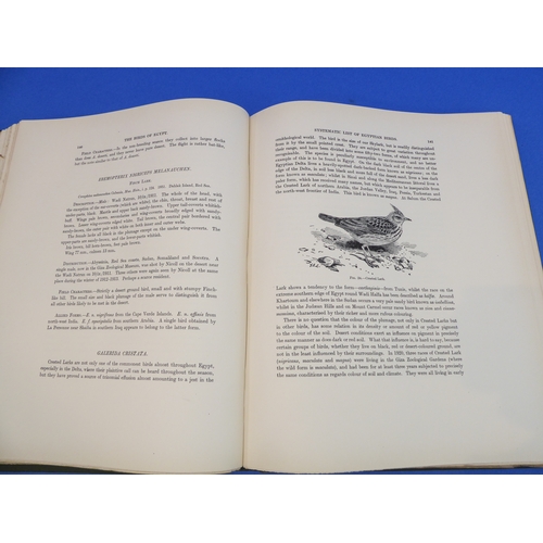 247 - 'Nicoll's Birds of Egypt' by Colonel R. Meinertzhagen D.S.O. (Hugh Rees Ltd, Regent St., London 1930... 