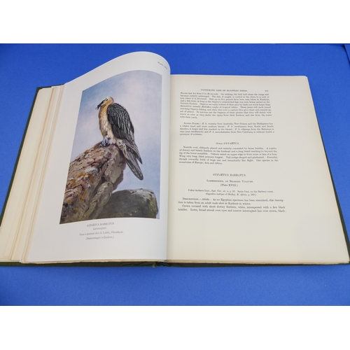 247 - 'Nicoll's Birds of Egypt' by Colonel R. Meinertzhagen D.S.O. (Hugh Rees Ltd, Regent St., London 1930... 