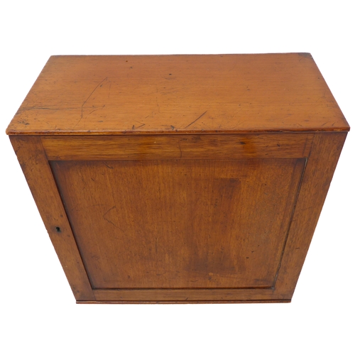 355 - A 19th century mahogany cabinet with single panelled door opening to reveal ten pigeonholes (51cm wi... 