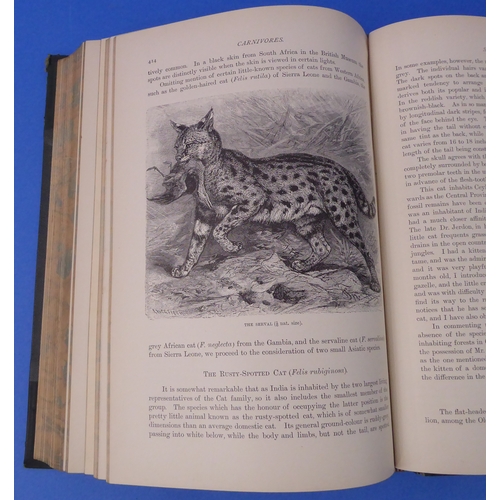 240 - 'The Royal Natural History' edited by Richard Lydekker (Frederick Warne & Co. 1896): six-volume set,... 