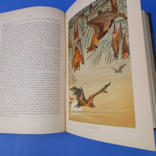 240 - 'The Royal Natural History' edited by Richard Lydekker (Frederick Warne & Co. 1896): six-volume set,... 