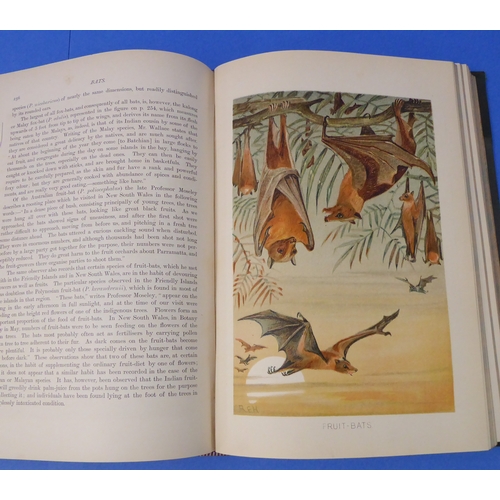 240 - 'The Royal Natural History' edited by Richard Lydekker (Frederick Warne & Co. 1896): six-volume set,... 