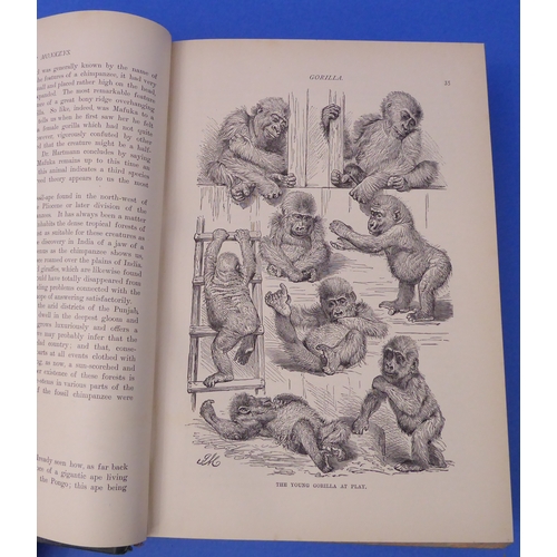 240 - 'The Royal Natural History' edited by Richard Lydekker (Frederick Warne & Co. 1896): six-volume set,... 