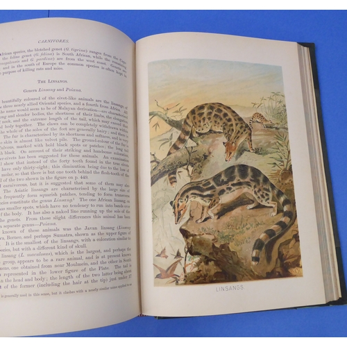 240 - 'The Royal Natural History' edited by Richard Lydekker (Frederick Warne & Co. 1896): six-volume set,... 