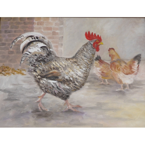 215 - JULIA COX (British contemporary) - a pair of framed oil on canvas studies: 'Brown Hen' and companion... 