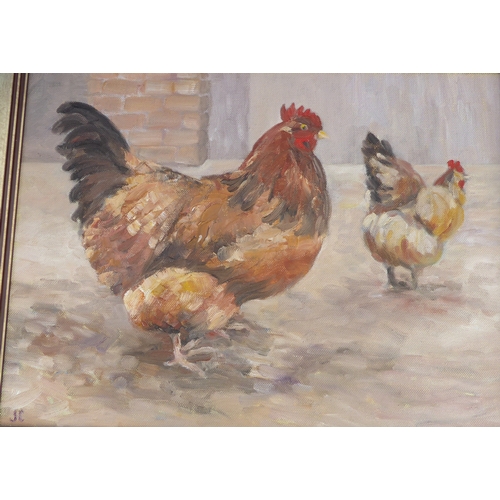 215 - JULIA COX (British contemporary) - a pair of framed oil on canvas studies: 'Brown Hen' and companion... 