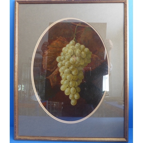 216 - An oval oil on card study of green grapes, later glazed gilt frame (image size 37cm x 27cm)