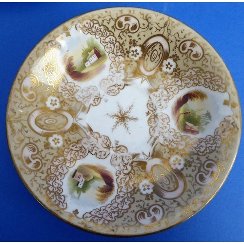 25 - Eleven fine Limoges (France) early 20th century plates decorated with white roses and various other ... 