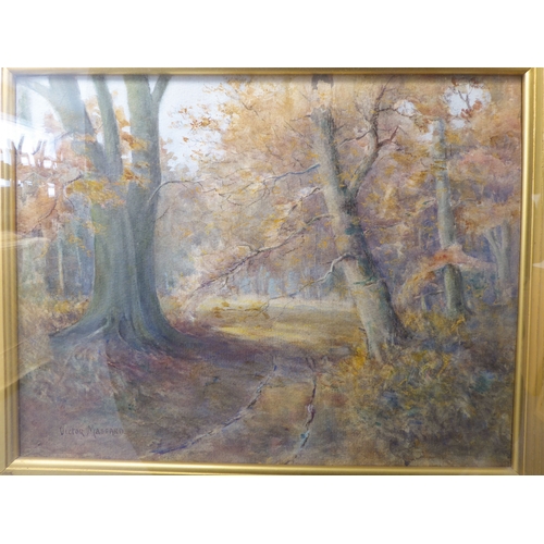485 - F VICTOR MASSARD (Scottish, 19th century) - 'In Cadzow Forest', watercolour, signed lower left (13¾ ... 