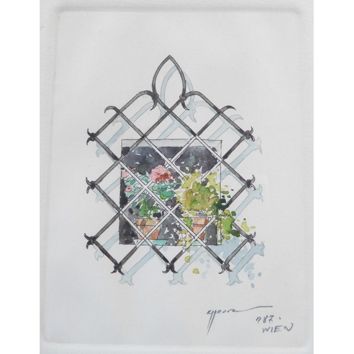 493 - Dr KHOSROW SALEHI (Persian, 20th century), a coloured etching of flower pots through a latticework w... 