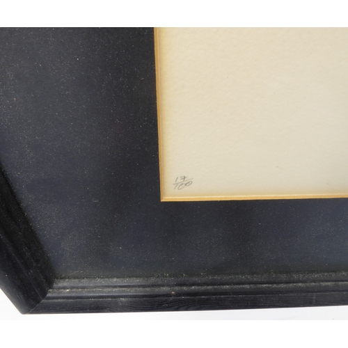 509 - ALBERT HOUTHUESEN (1903-1979) - 'Reflections' (1974) - a limited edition (17 of 100) monochrome lith... 