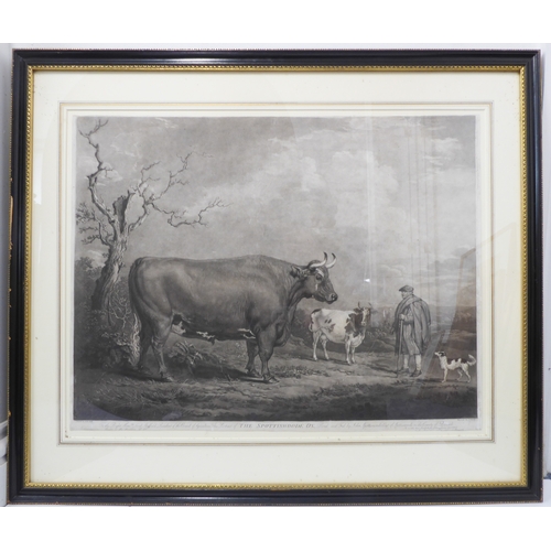 510 - JAMES WARD RA after ALEXANDER NASMYTH - 'The Spottiswoode Ox', mezzotint on wove paper (plate size 1... 
