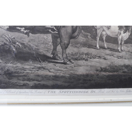 510 - JAMES WARD RA after ALEXANDER NASMYTH - 'The Spottiswoode Ox', mezzotint on wove paper (plate size 1... 