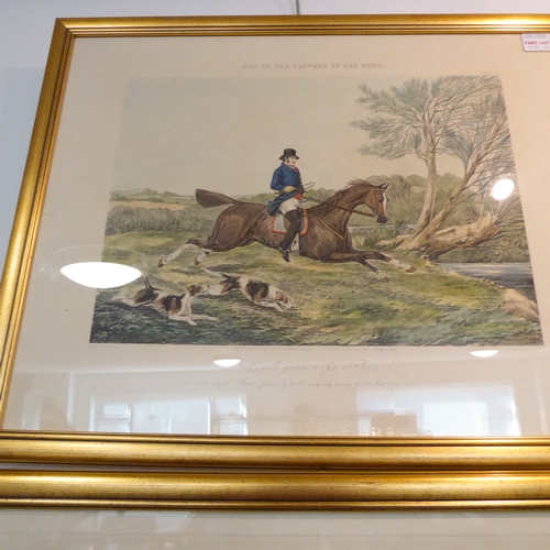 518 - After HENRY ALKEN - a good set of six mid-19th century hand-coloured engravings, 'One of the Flowers... 