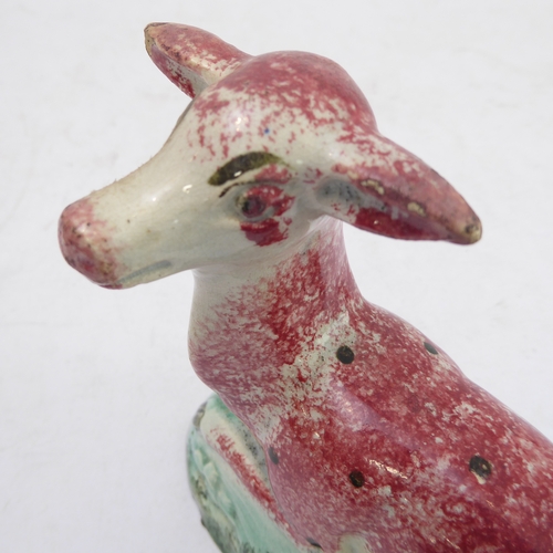 39 - A late 18th to early 19th century Staffordshire pearlware model of a recumbent deer (14 x 7.4 x 14 c... 