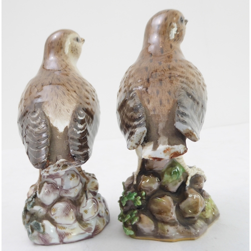 41 - Two 19th century hand-decorated hard-paste porcelain models of mistle thrushes (possibly Meissen)  (... 