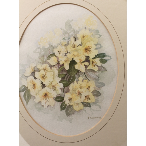 268 - Ten pictures and prints to include:
 D. SCAMMELL a set of three floral still lives in watercolour (f... 