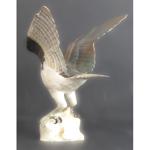 17A - A hand-decorated Spode Fine Bone China model of an open-winged Osprey (Pandion Haliaetus), printed m... 