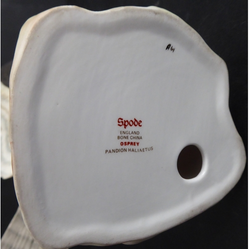 17A - A hand-decorated Spode Fine Bone China model of an open-winged Osprey (Pandion Haliaetus), printed m... 