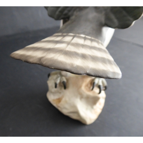 17A - A hand-decorated Spode Fine Bone China model of an open-winged Osprey (Pandion Haliaetus), printed m... 