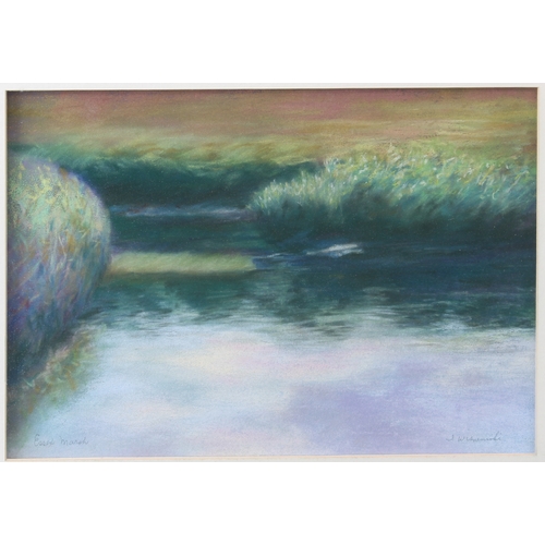 248 - Ten pieces to include:
 IRENE WISNIEWSKI - a series of five pastels signed in pencil: 'Goose Pond', ... 