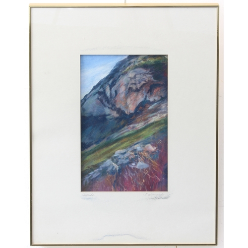 248 - Ten pieces to include:
 IRENE WISNIEWSKI - a series of five pastels signed in pencil: 'Goose Pond', ... 