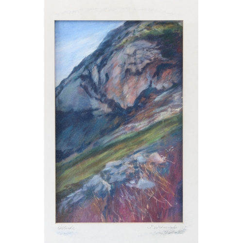 248 - Ten pieces to include:
 IRENE WISNIEWSKI - a series of five pastels signed in pencil: 'Goose Pond', ... 
