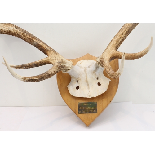 116 - A large pair of five-point antlers mounted on a shield-shaped oak back with plaque reading 'Shot by ... 