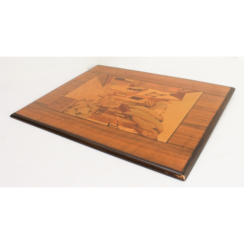 117 - An early 20th century specimen-wood marquetry panel depicting a continental-style village scene with... 