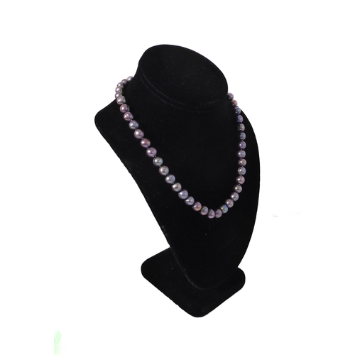 292 - A single strand black pearl necklace: the 8mm pearls individually knotted, with a 14ct white gold pl... 