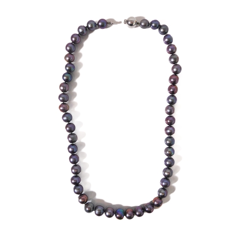 292 - A single strand black pearl necklace: the 8mm pearls individually knotted, with a 14ct white gold pl... 