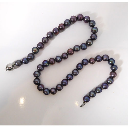 292 - A single strand black pearl necklace: the 8mm pearls individually knotted, with a 14ct white gold pl... 