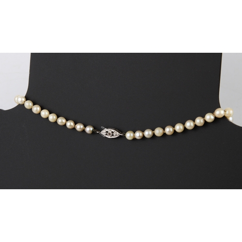 196 - A graduated cultured pearl single strand necklace with 9ct white gold and diamond clasp - mid-centur... 