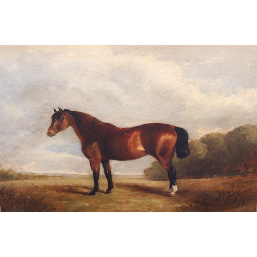 306 - English School (19th century)
 A horse in a landscape
 oil on board, signed with monogram lower righ... 