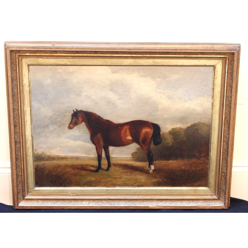 306 - English School (19th century)
 A horse in a landscape
 oil on board, signed with monogram lower righ... 