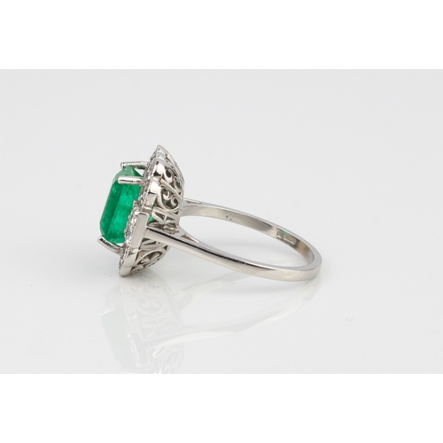 219 - A platinum, emerald and diamond cluster ring - the 8.5 x 6mm emerald within a border of ten millegra... 