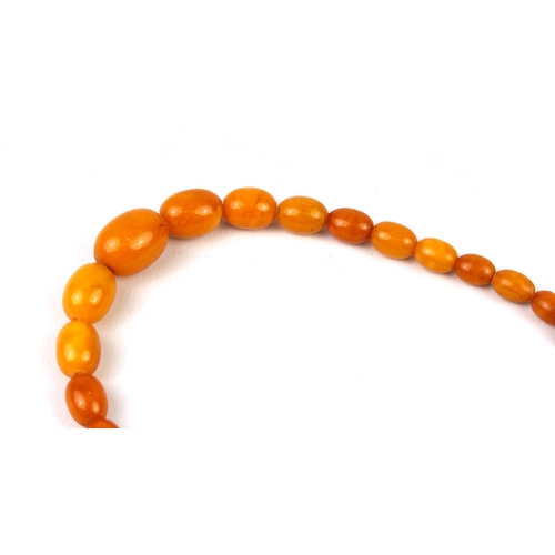 201 - An antique egg yolk amber bead necklace - the oval beads graduating from 6.5mm to 17mm long, with br... 