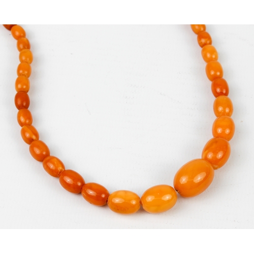 201 - An antique egg yolk amber bead necklace - the oval beads graduating from 6.5mm to 17mm long, with br... 