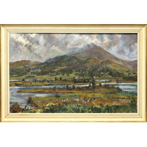 329 - John McWilliam RSPP (Scottish Contemp.)
 'Schiehallion, Perthshire'
 oil on board, signed and dated ... 