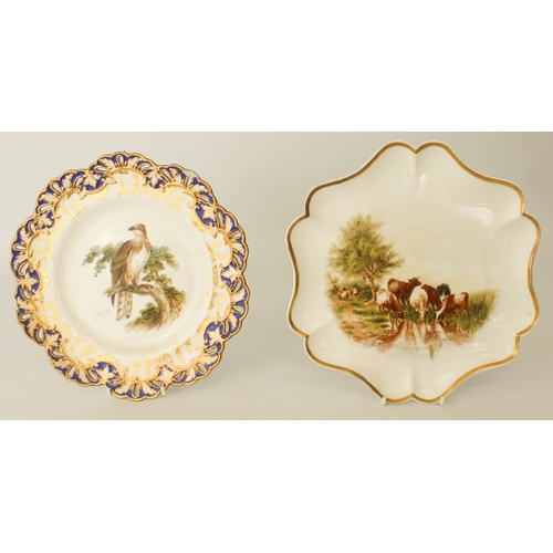 26 - A collection of 19th and early 20th century cabinet plates - including examples by Coalport, mostly ... 