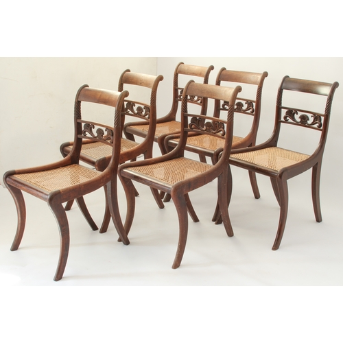 439 - A set of six Regency carved rosewood dining chairs - the label backs with single pierced rail with s... 