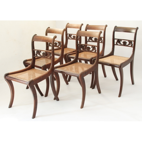 439 - A set of six Regency carved rosewood dining chairs - the label backs with single pierced rail with s... 