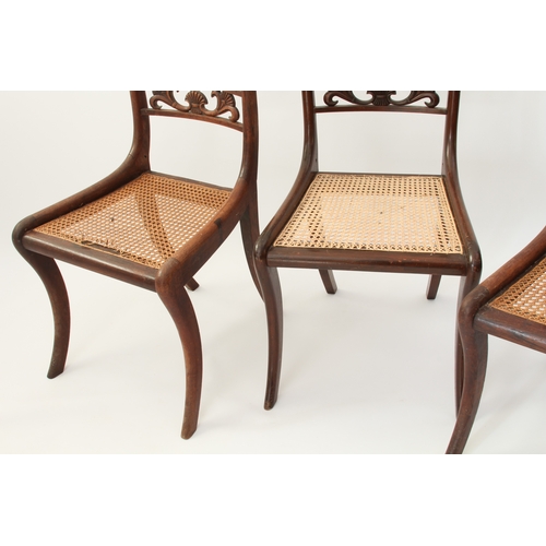 439 - A set of six Regency carved rosewood dining chairs - the label backs with single pierced rail with s... 