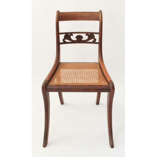 439 - A set of six Regency carved rosewood dining chairs - the label backs with single pierced rail with s... 