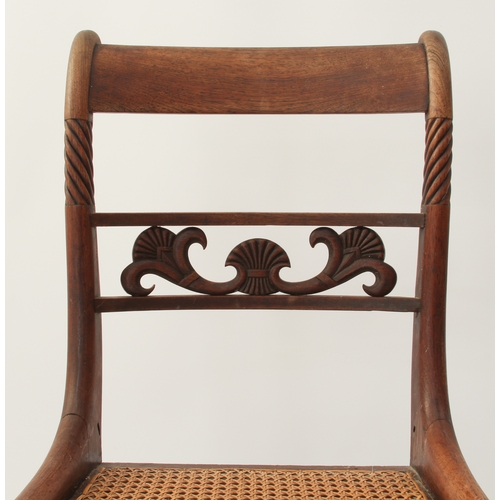 439 - A set of six Regency carved rosewood dining chairs - the label backs with single pierced rail with s... 